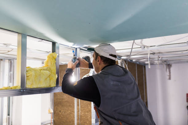 Best Basement Insulation  in East Ridge, TN